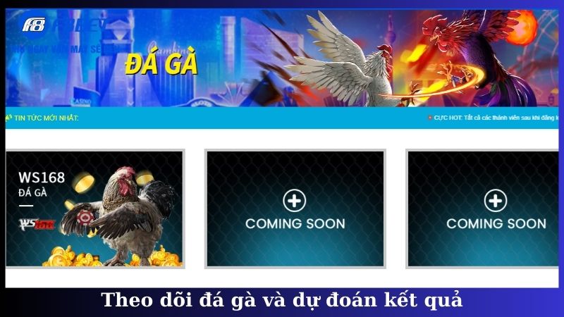 Theo dõi đá gà và dự đoán kết quả
