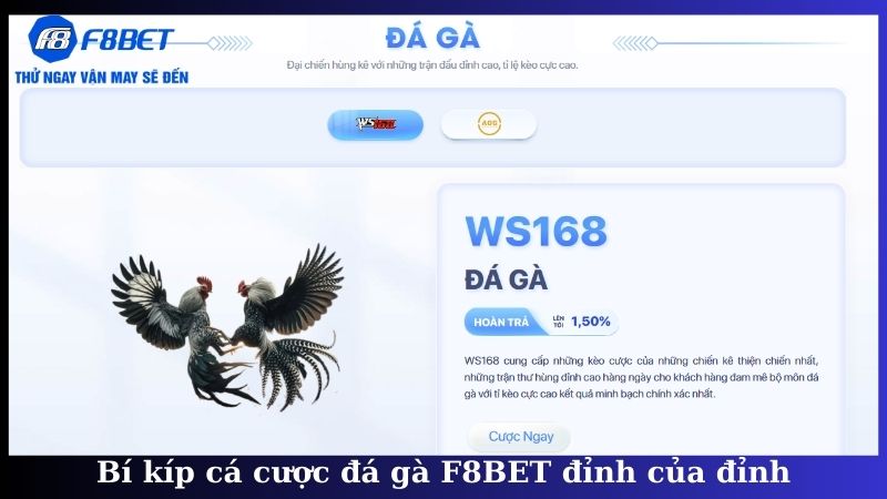 Bí kíp cá cược đá gà F8BET đỉnh của đỉnh