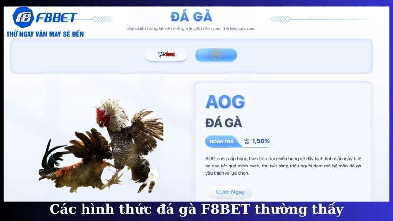 Các hình thức đá gà F8BET thường thấy