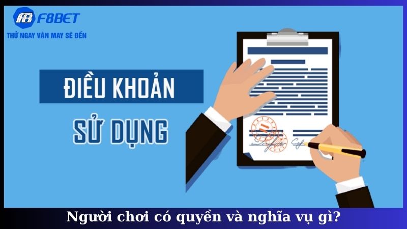 Người chơi có quyền và nghĩa vụ gì?