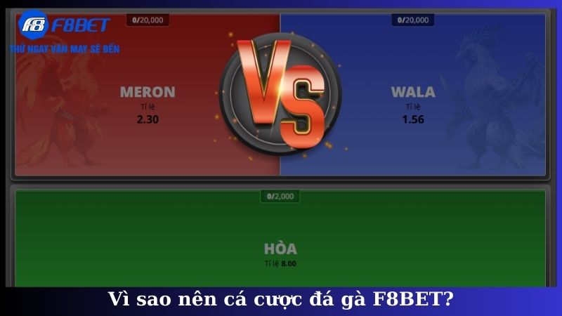 Vì sao nên cá cược đá gà F8BET?